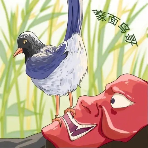 蒙面鸟哥