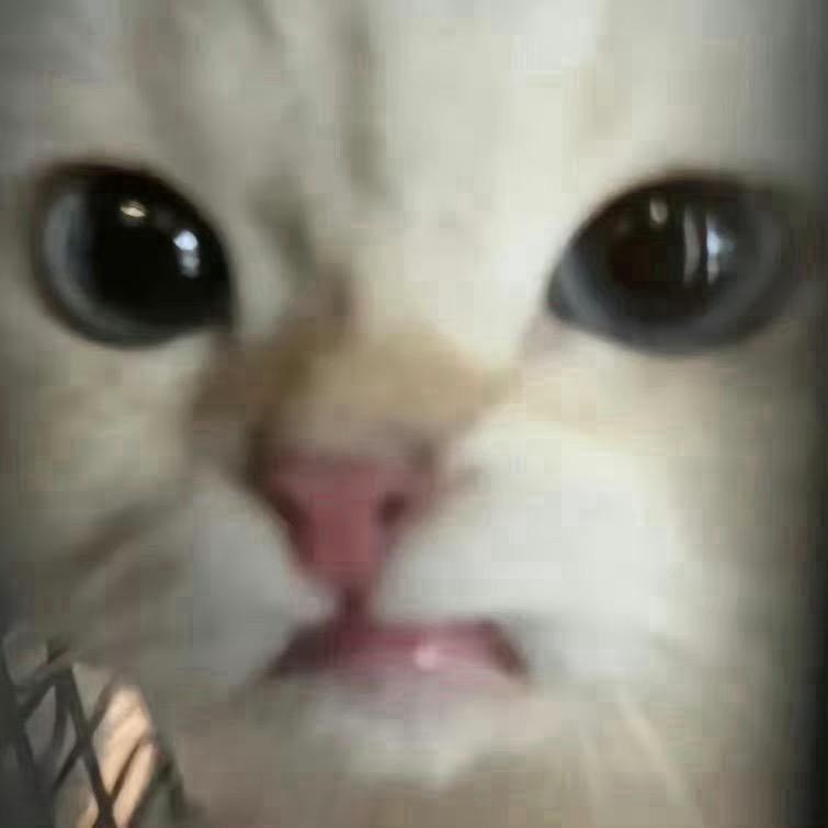 祺祺怪怪ii