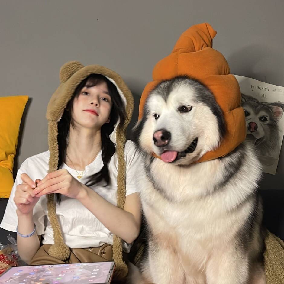 胖虎不是爷
