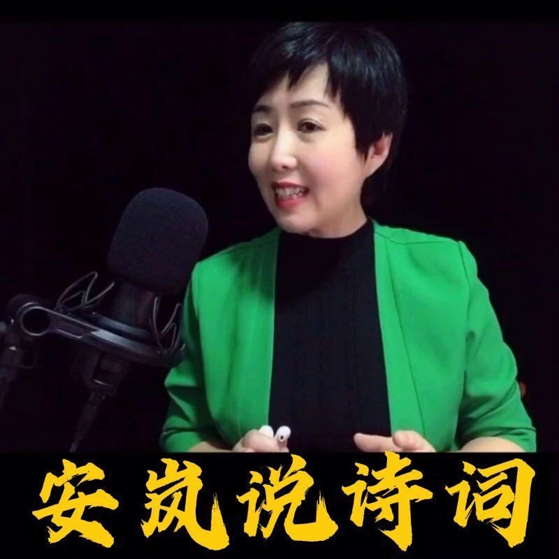 安岚说历史