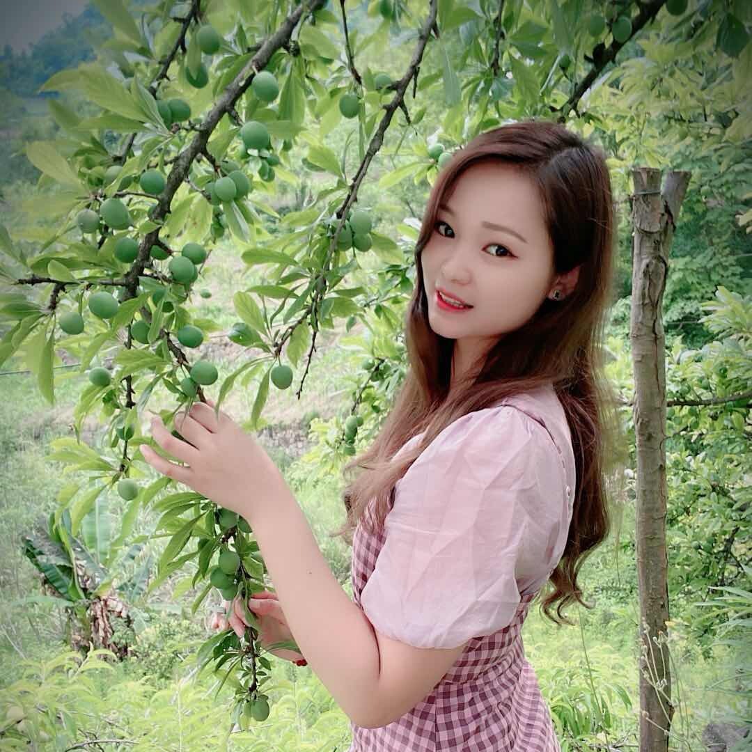 长阳梅子