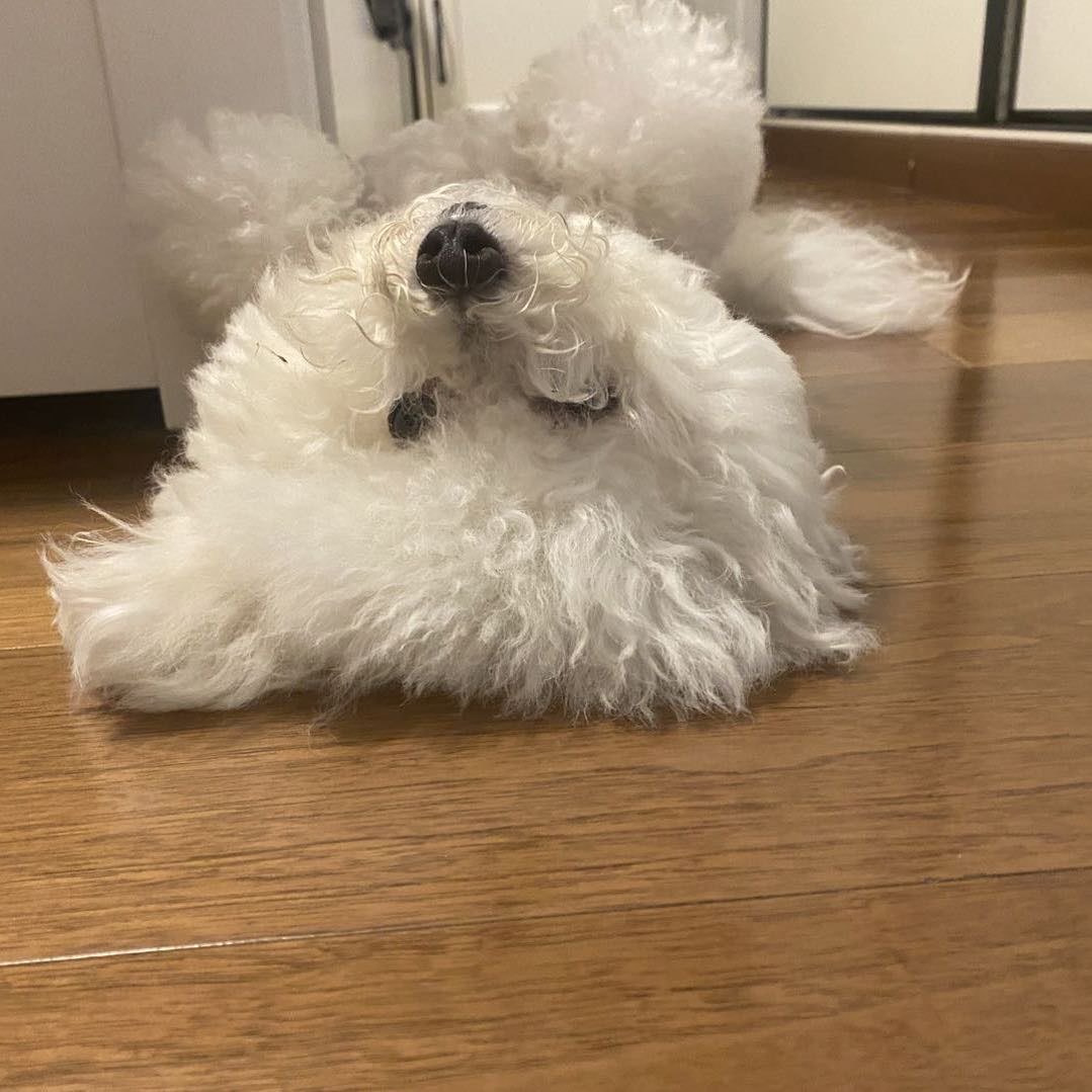 奥莉和跟班小葵