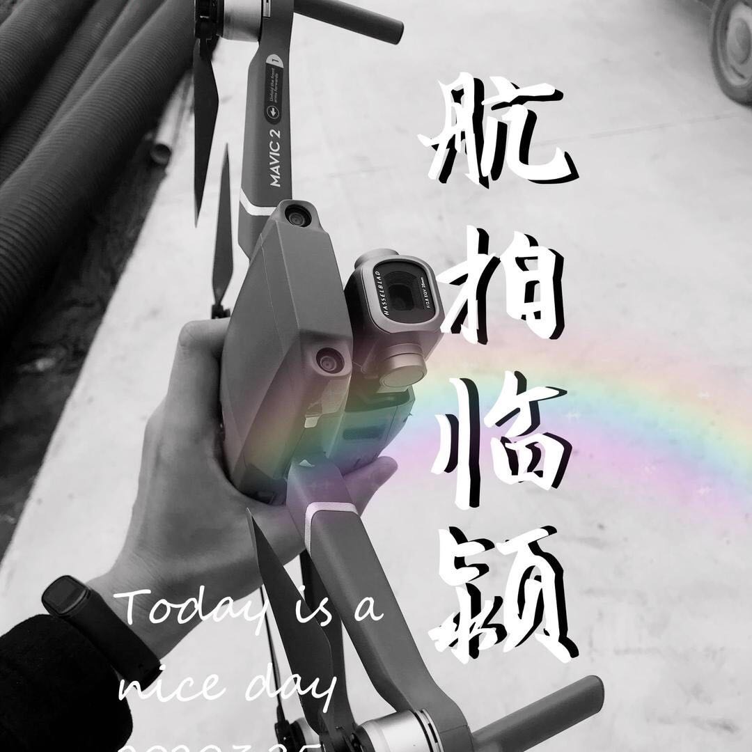 会飞的七七