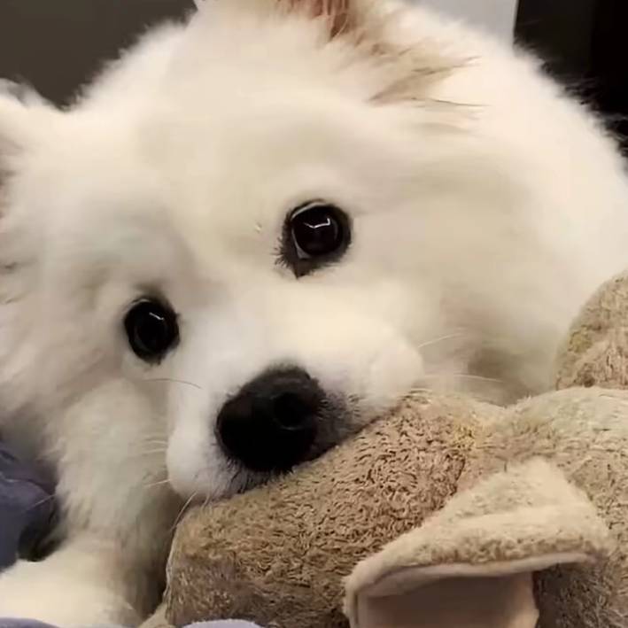 呵呵笑一下蒜了