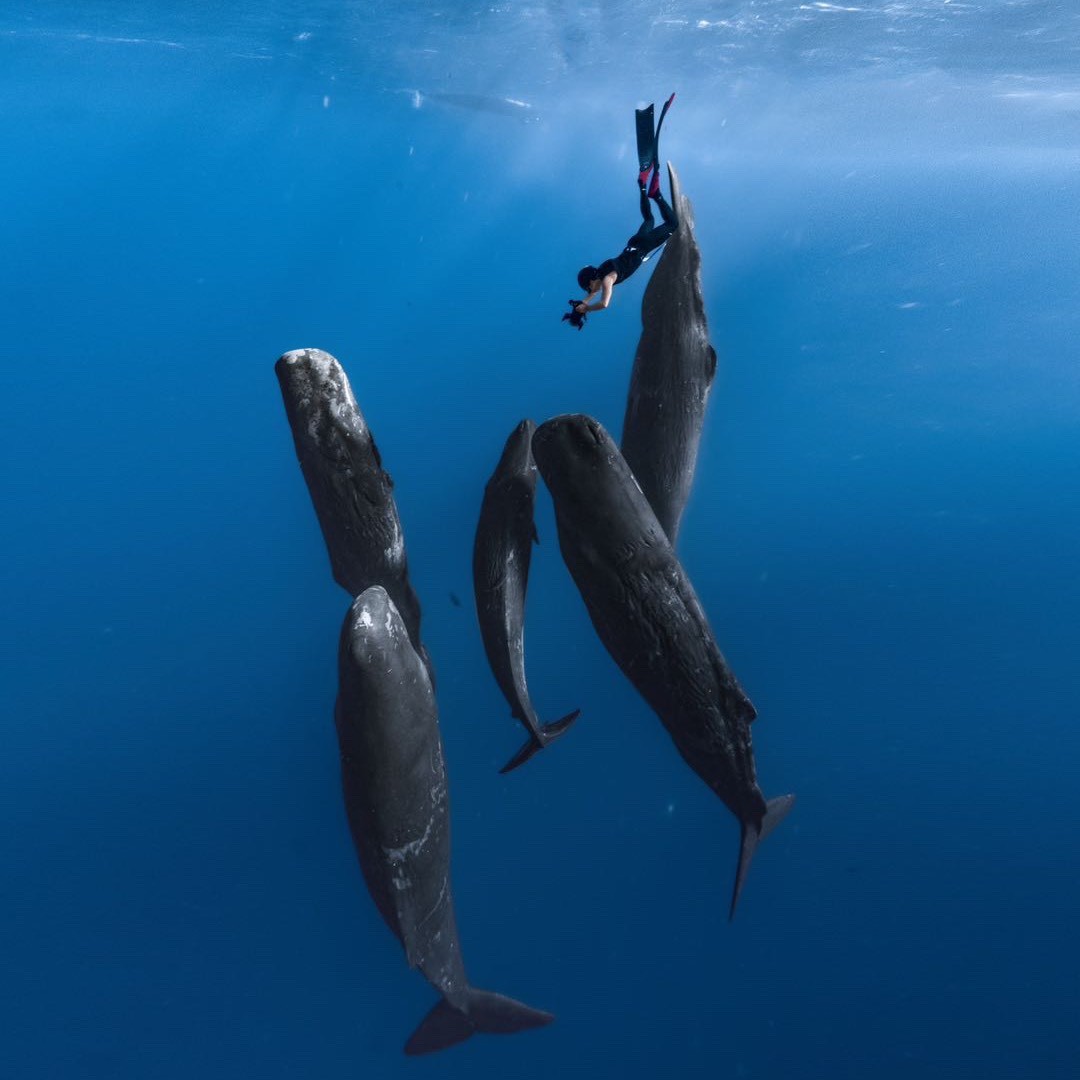 ZZ文珑环球潜水