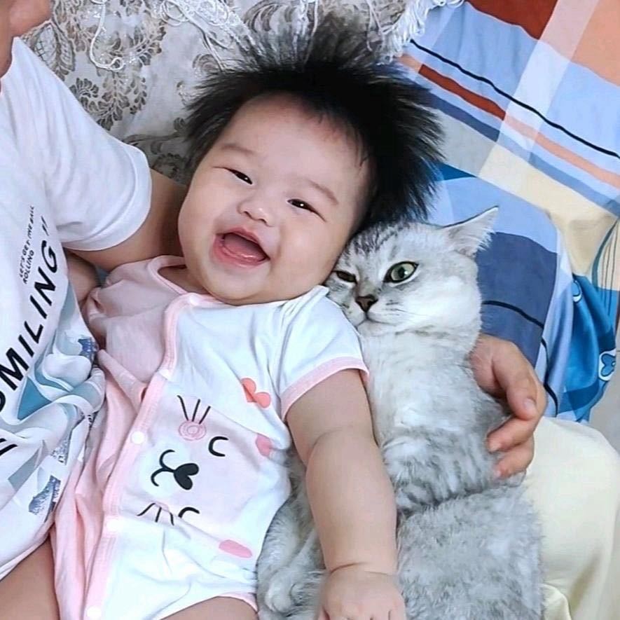 钱多多的保姆猫