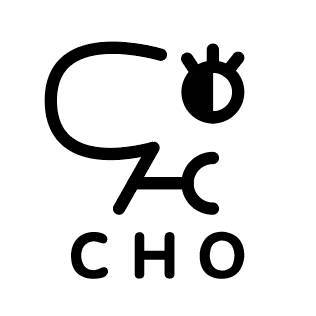 CHO碳氢氧人声乐团