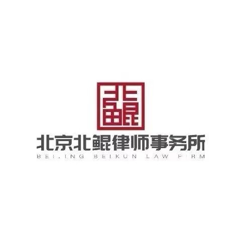 北京北鲲律所-律师团