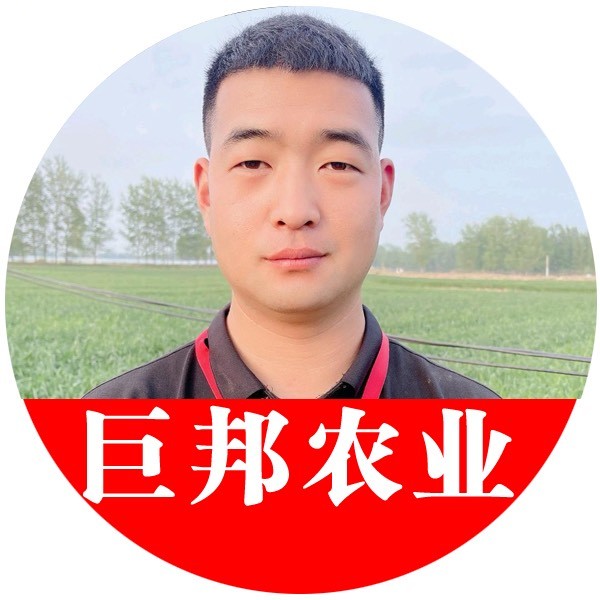 大毛讲玉米