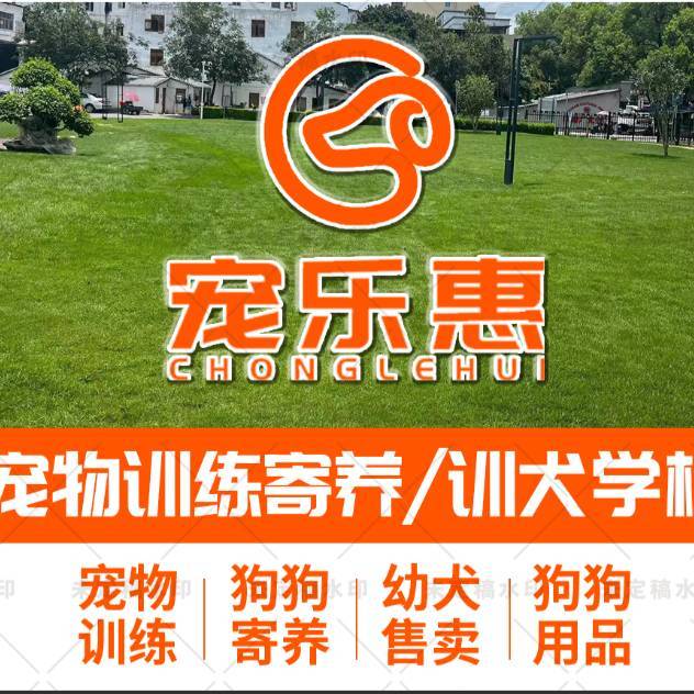 宠乐惠宠物犬训练基地