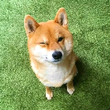 十四毅耶