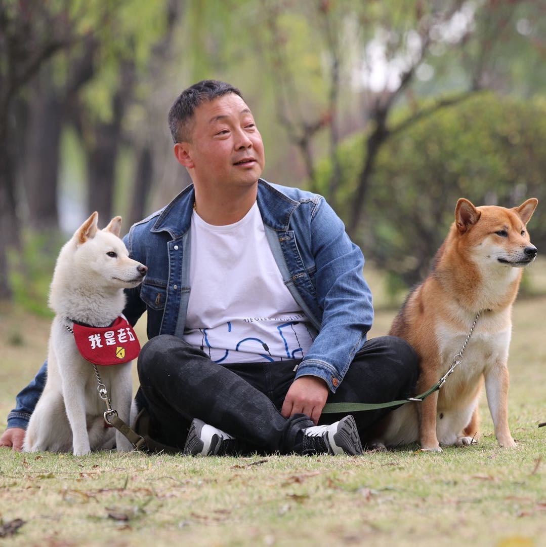 涛哥爱狗