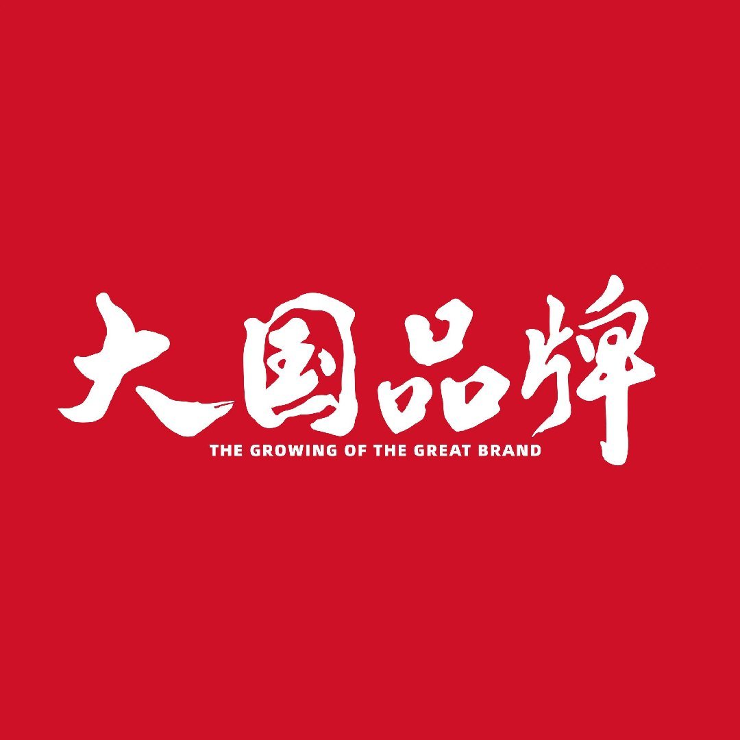大国品牌养成记