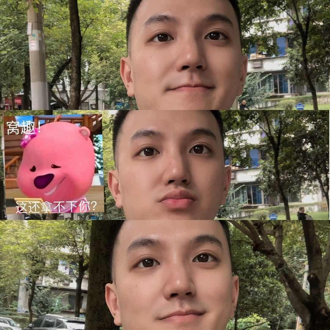 有趣猫咪小剧场