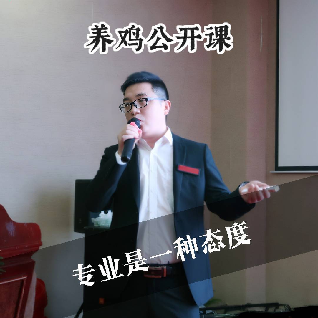 展护卫专看鸡病