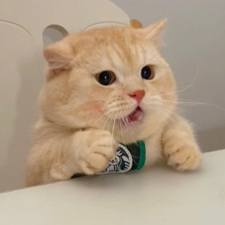 爱笑的小年糕sky