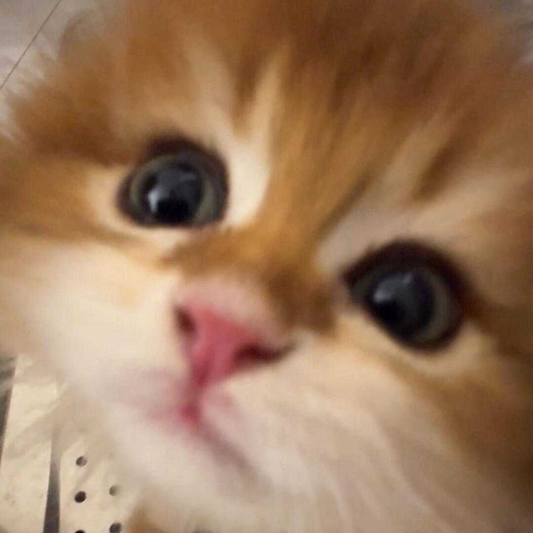 尤嘉i