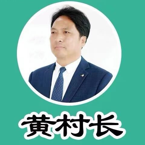 黄村长