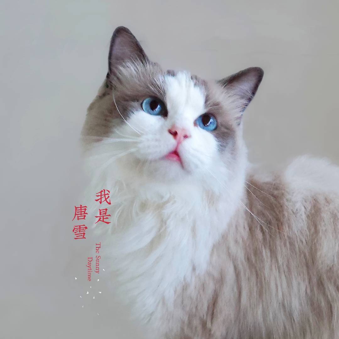 木枝君.宁