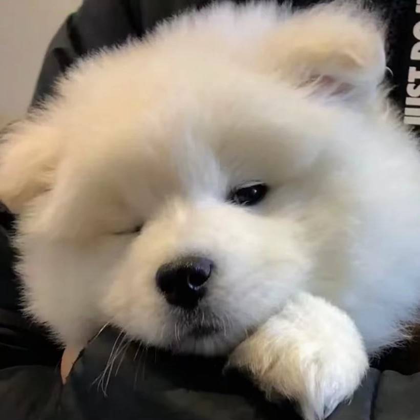 清晨難訴情緒.