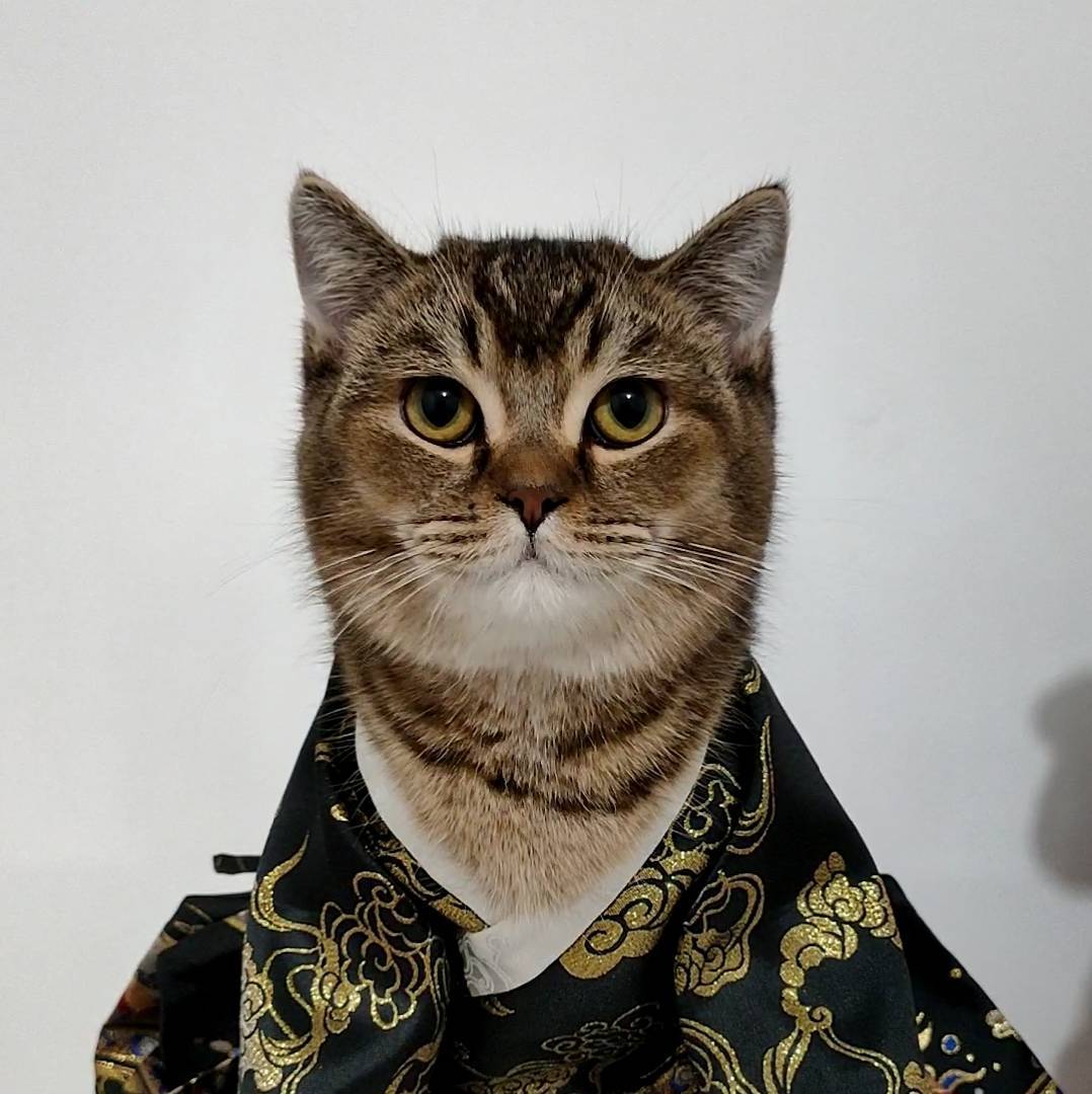 有猫咖啡馆