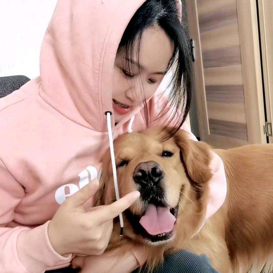 一只沙雕犬