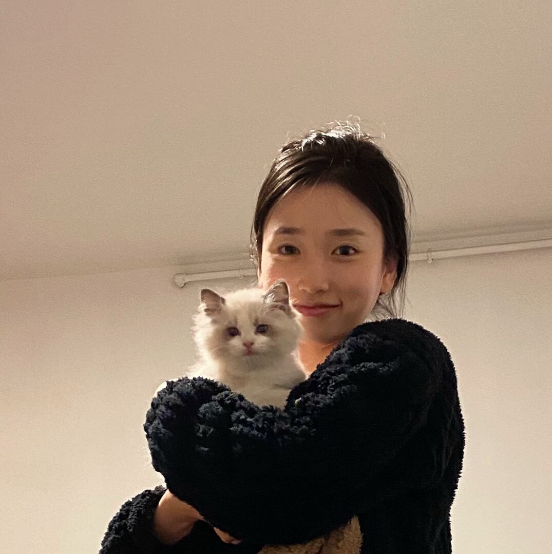 一只毛..