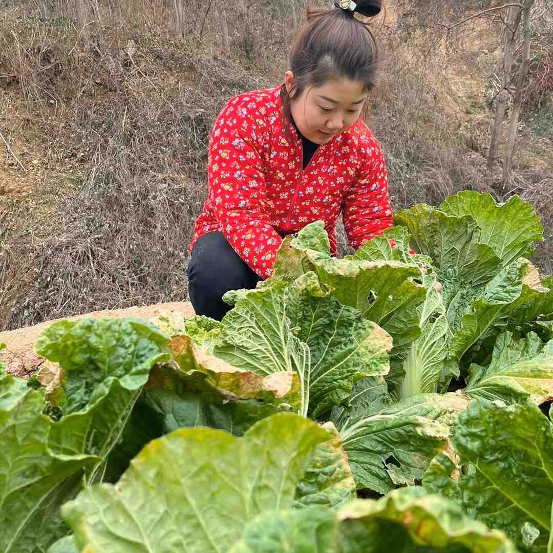 林林的农村生活