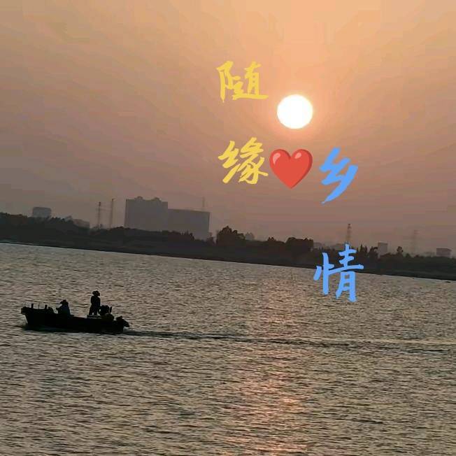 随缘乡情