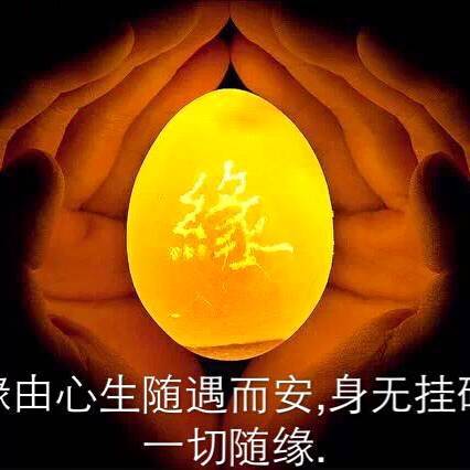 缘.视界