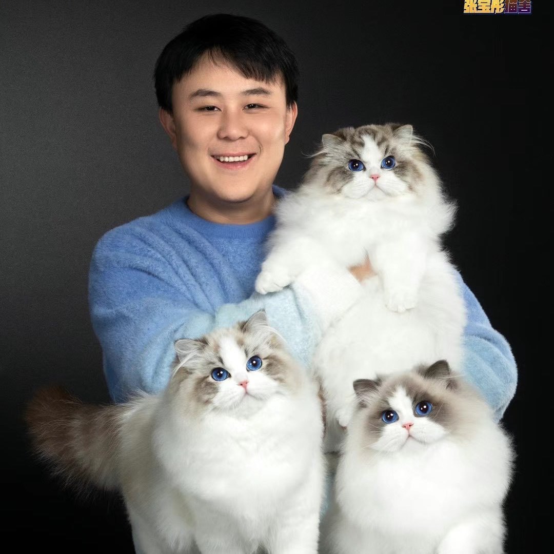 张宝彤布偶猫舍