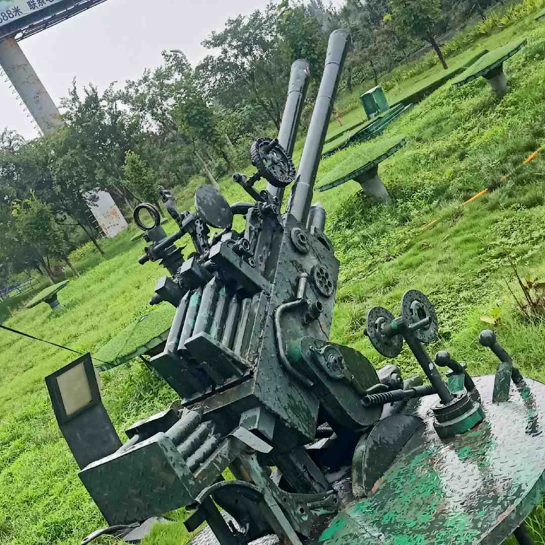 户外龙鸽