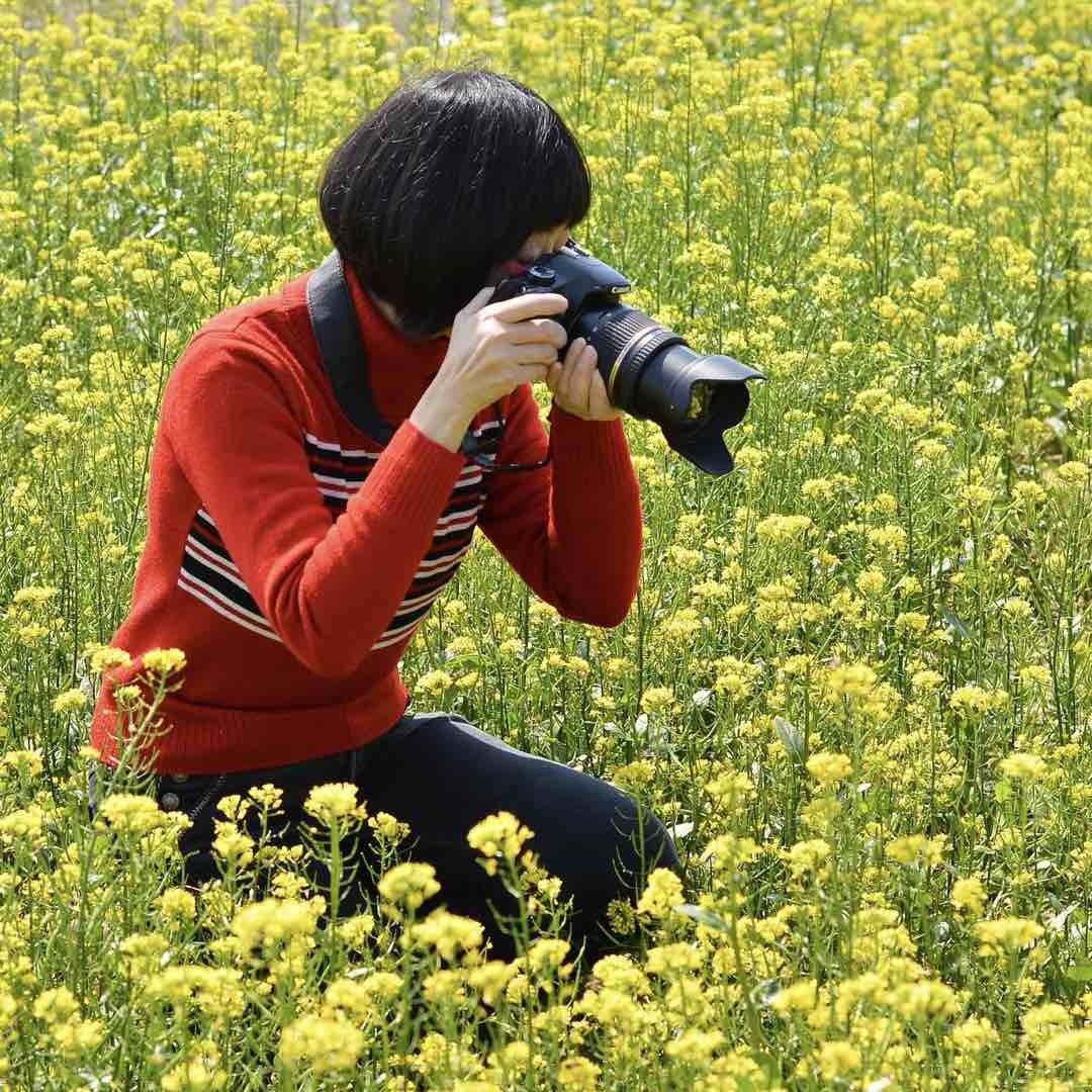 郁金香的生活美学