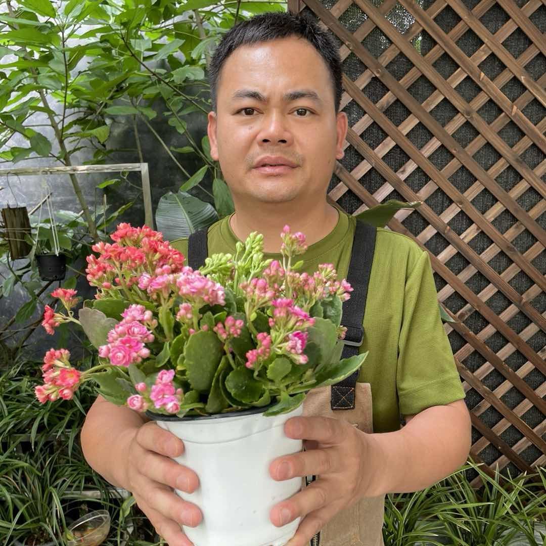 老苏教你养花