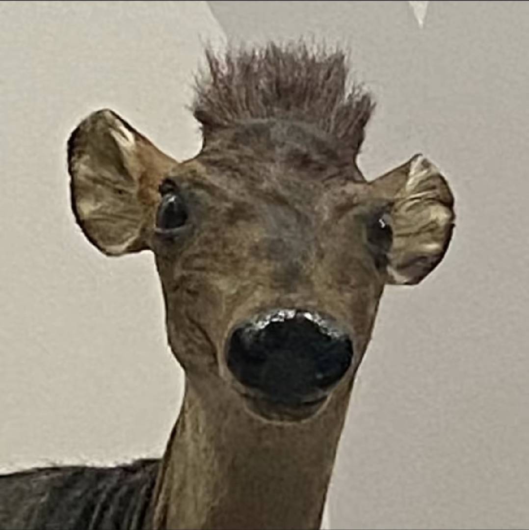 靳小瘦.