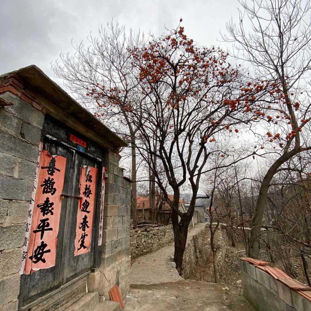 沂蒙石榴姐