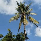 润泰塑胶-晟创新材料