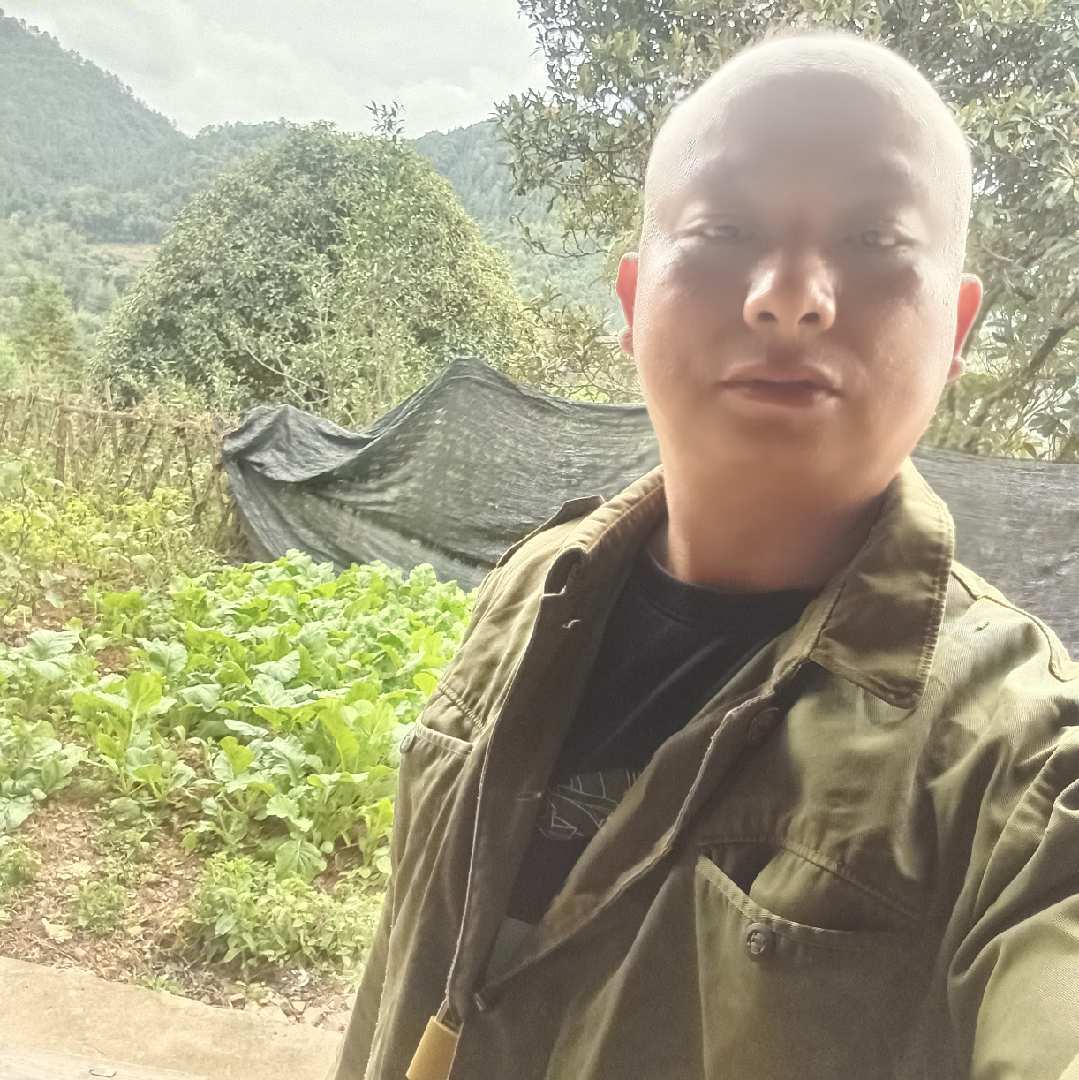 鱼回塘