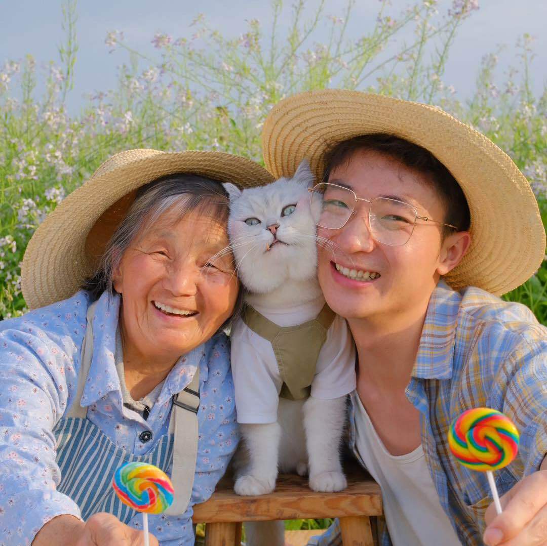 二猫子多多成长记