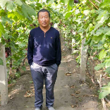大伟爱农村生活