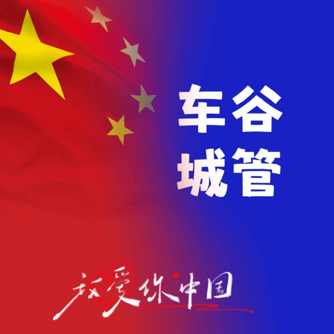 车谷城管