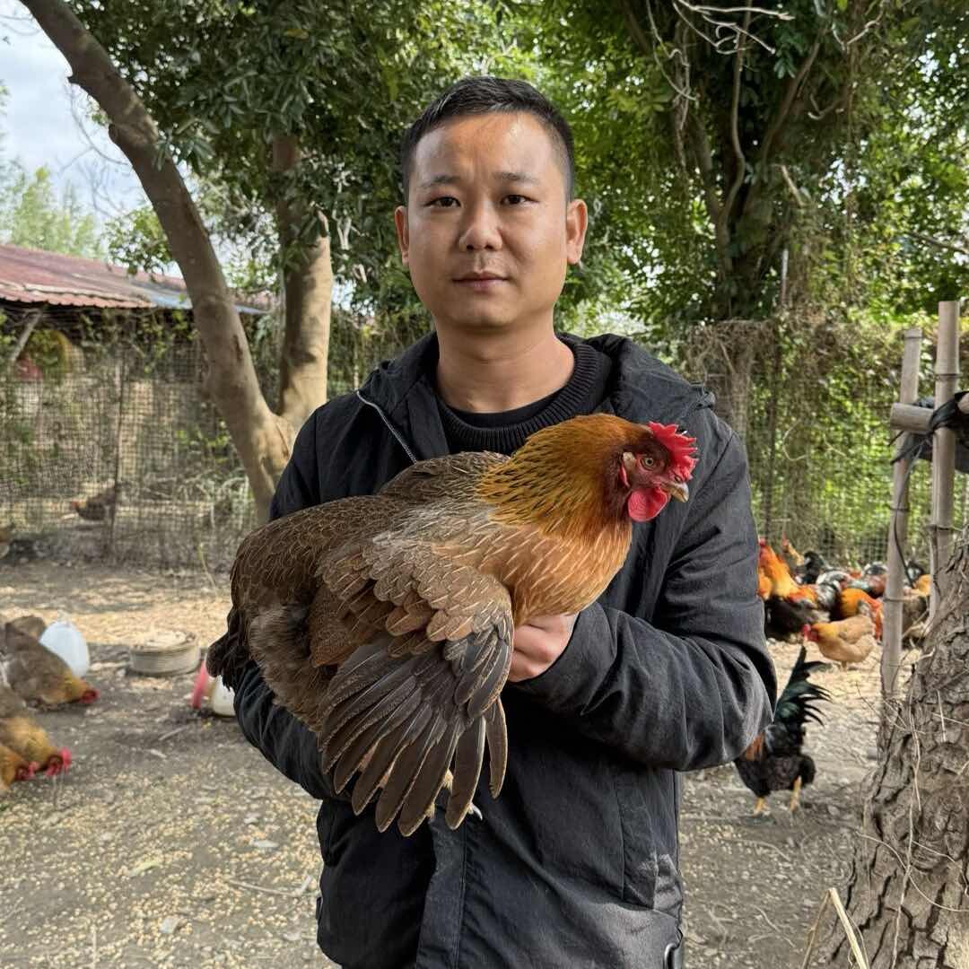 清远伟仔