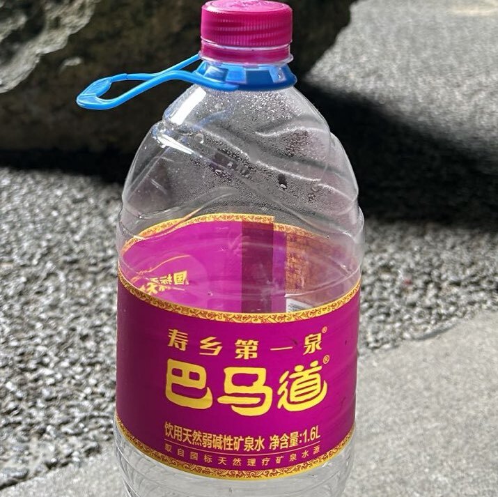 武在巴马