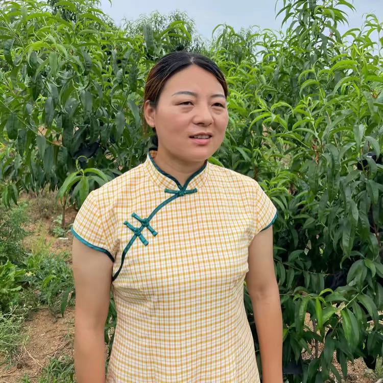 燕芸十六的幸福生活