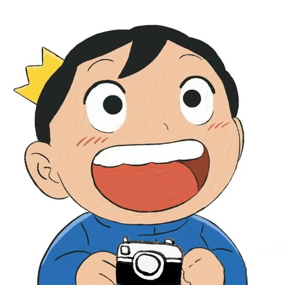 王子不会拍