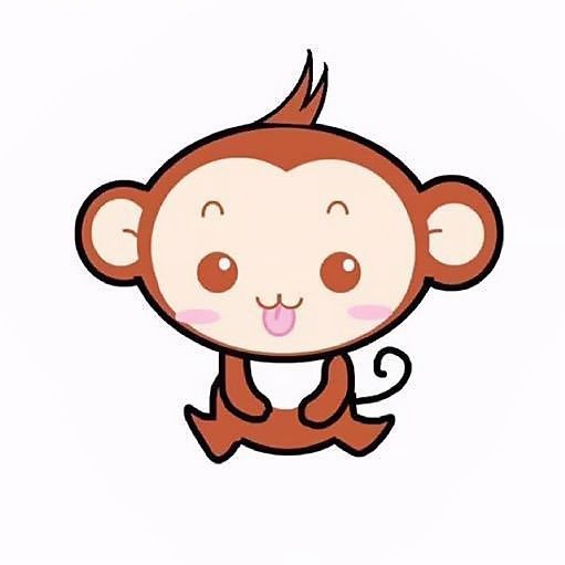 杨紫工作室