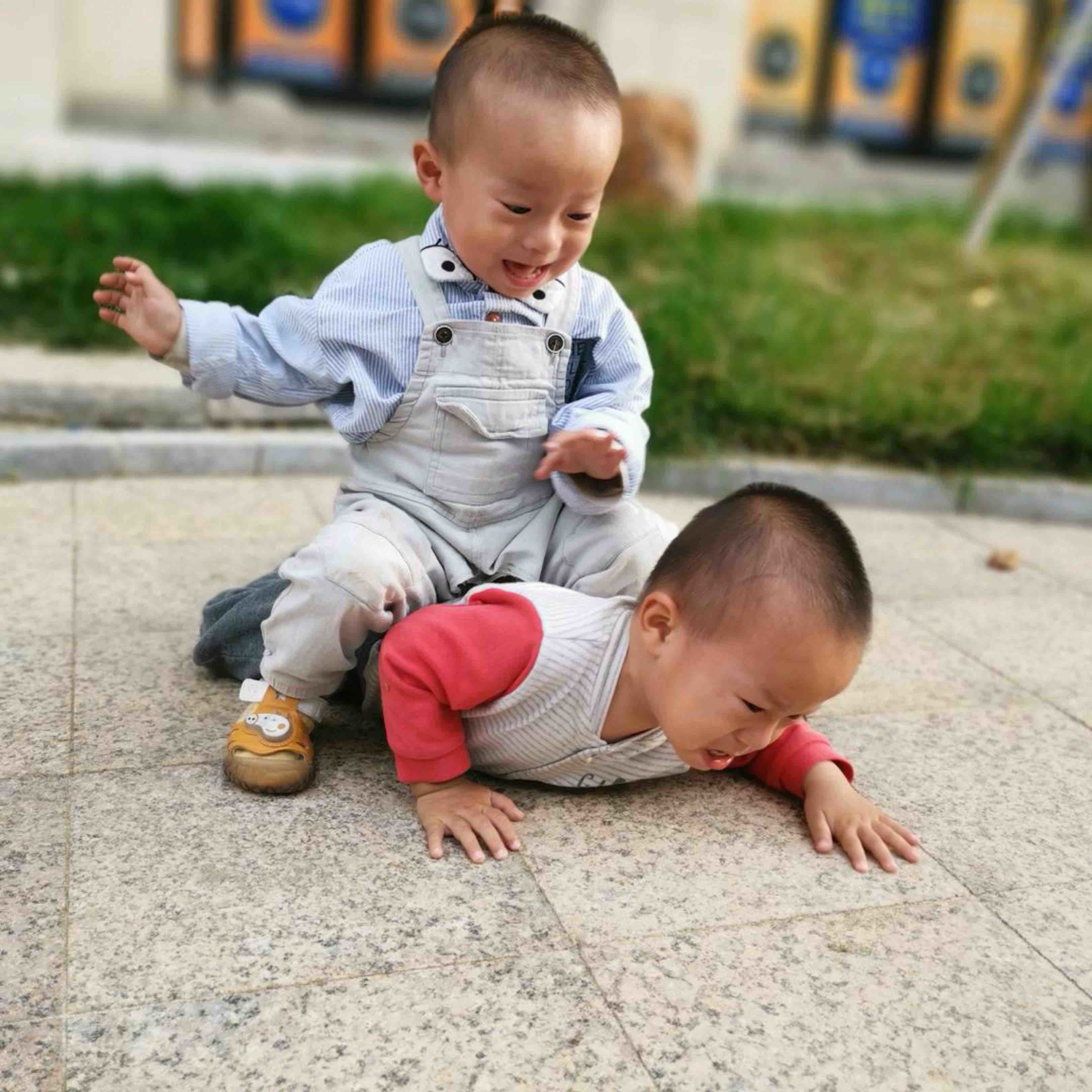 皓皓-轩轩