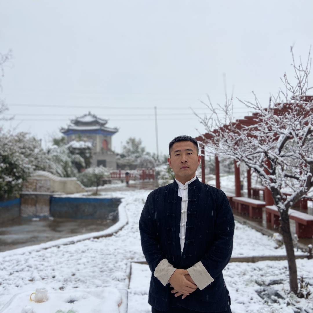 功夫文武王教练