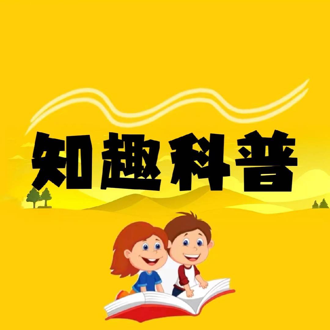 知趣科普1