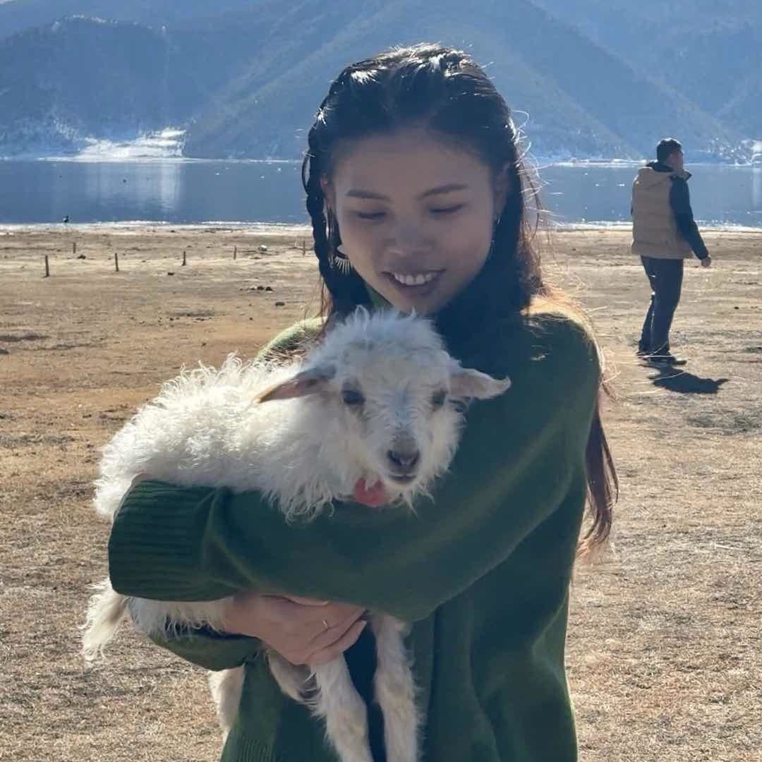 木兰来了mulan